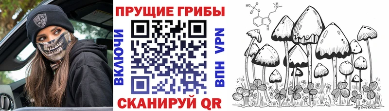 цены наркотик  omg зеркало  Псилоцибиновые грибы Psilocybine cubensis  Верхоянск 